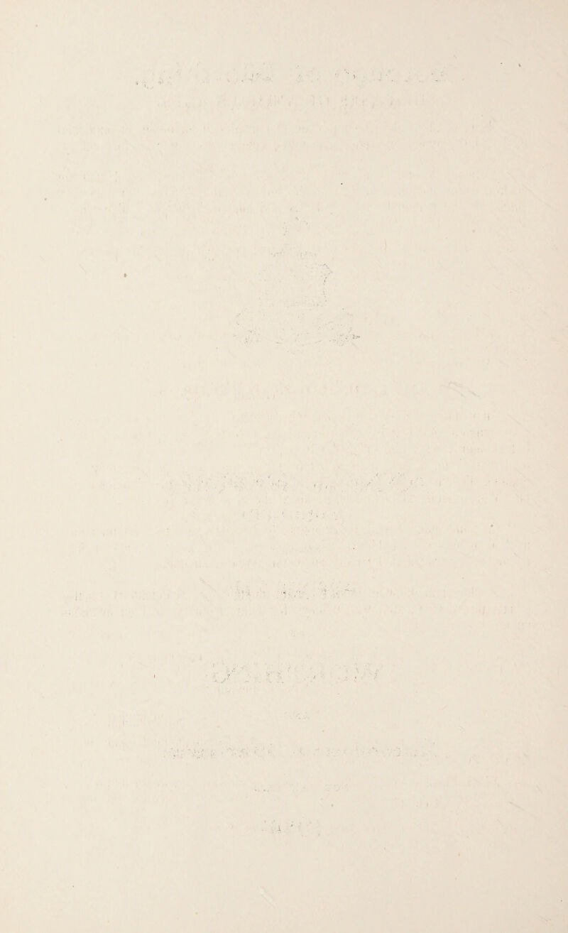 r, t ’ ' ' i . <> : .* -*■ • '■ ’* -■ '