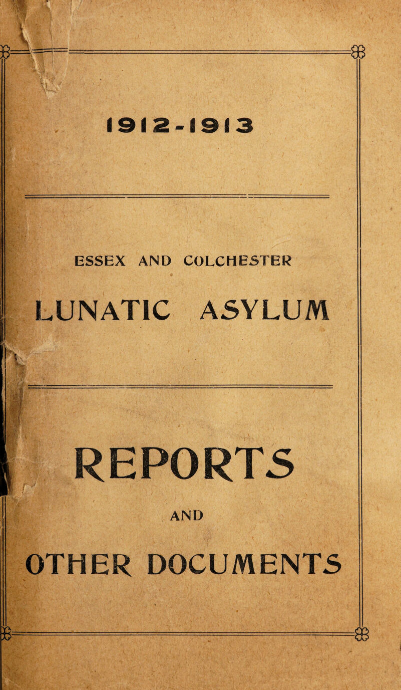 1912-1913 ESSEX AND COLCHESTER LUNATIC ASYLUM REPORTS AND OTHER DOCUMENTS