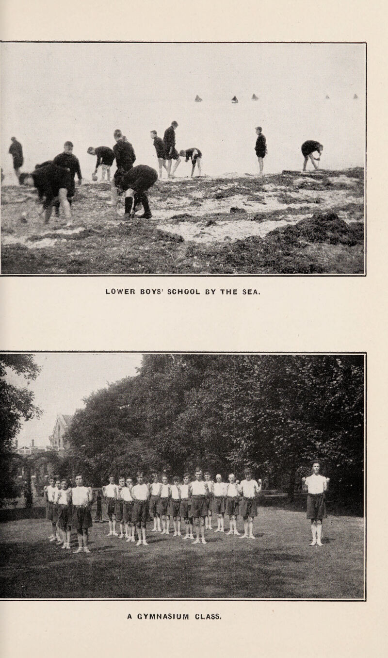 LOWER BOYS’ SCHOOL BY THE SEA. A GYMNASIUM CLASS