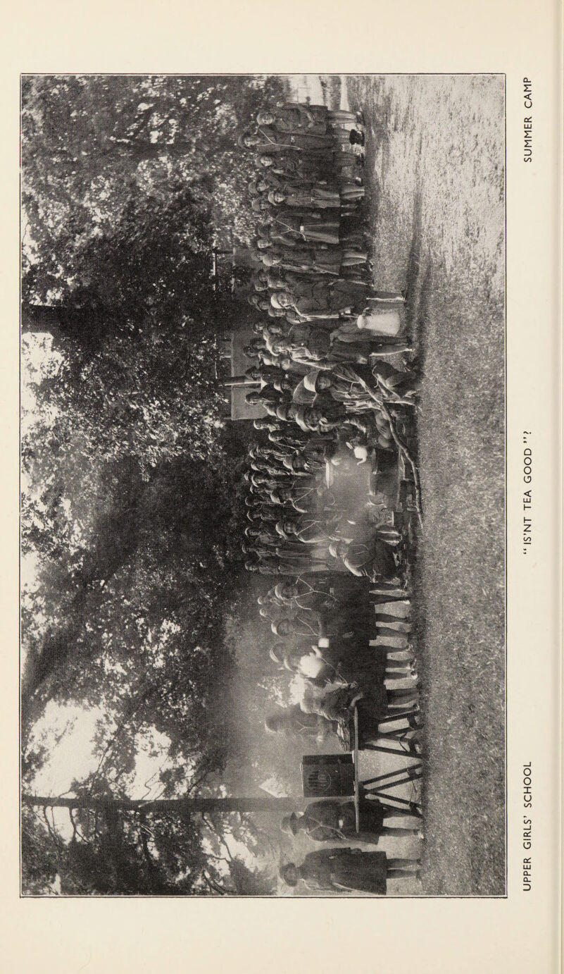 UPPER GIRLS’ SCHOOL “ IS’NT TEA GOOD”? SUMMER CAMP