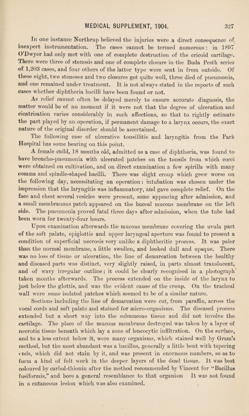 In one instance Northrup believed the injuries were a direct consequence of inexpert instrumentation. The cases cannot be termed numerous: in 1897 O’Dwyer had only met with one of complete destruction of the cricoid cartilage. There were three of stenosis and one of complete closure in the Buda Pesth series of 1,203 cases, and four others of the latter type were sent in from outside. Of these eight, two stenoses and two closures got quite well, three died of pneumonia, and one remained under treatment. It is not always stated in the reports of such cases whether diphtheria bacilli have been found or not. As relief cannot often be delayed merely to ensure accurate diagnosis, the matter would be of no moment if it were not that the degree of ulceration and cicatrisation varies considerably in such affections, so that to rightly estimate the part played by an operation, if permanent damage to a larynx occurs, the exact nature of the original disorder should be ascertained. The following case of ulcerative tonsillitis and laryngitis from the Park Hospital has some bearing on this point. A female child, 18 months old, admitted as a case of diphtheria, was found to have broncho-pneumonia with ulcerated patches on the tonsils from which cocci were obtained on cultivation, and on direct examination a few spirilla with many comma and spindle-shaped bacilli. There was slight croup which grew worse on the following day, necessitating an operation: intubation was chosen under the impression that the laryngitis was inflammatory, and gave complete relief. On the face and chest several vesicles were present, some appearing after admission, and a small membranous patch appeared on the buceal mucous membrane on the left side. The pneumonia proved fatal three days after admission, when the tube had been worn for twenty-four hours. Upon examination afterwards the mucous membrane covering the uvula part of the soft palate, epiglottis and upper laryngeal aperture was found to present a condition of superficial necrosis very unlike a diphtheritic process. It was paler than the normal membrane, a little swollen, and looked dull and opaque. There was no loss of tissue or ulceration, the line of demarcation between the healthy and diseased parts was distinct, very slightly raised, in parts almost translucent, and of wavy irregular outline; it could be clearly recognised in a photograph* taken months afterwards. The process extended on the inside of the larynx to just below the glottis, and was the evident cause of the croup. On the tracheal wall were some isolated patches which seemed to be of a similar nature. Sections including the line of demarcation were cut, from paraffin, across the vocal cords and soft palate and stained for micro-organisms. The diseased process extended but a short way into the submucous tissue and did not involve the cartilage. The place of the mucous membrane destroyed was taken by a layer of necrotic tissue beneath which lay a zone of lencocytic infiltration. On the surface, and to a less extent below it, were many organisms, which stained well by Gram’s method, but the most abundant was a bacillus, generally a little bent with tapering ends, which did not stain by it, and was present in enormous numbers, so as to form a kind of felt work in the deeper layers of the dead tissue. It was best coloured by carbol-thionin after the method recommended by Vincent for ‘‘Bacillus fusiformis,” and bore a general resemblance to that organism It was not found in a cutaneous lesion which was also examined.