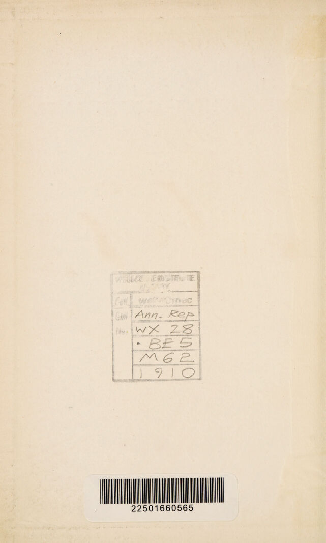 digitised image 2
