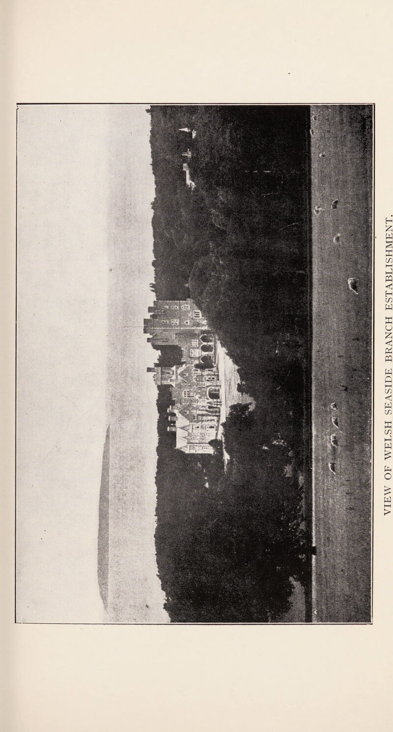 VIEW OF WELSH SEASIDE BRANCH ESTABLISHMENT.