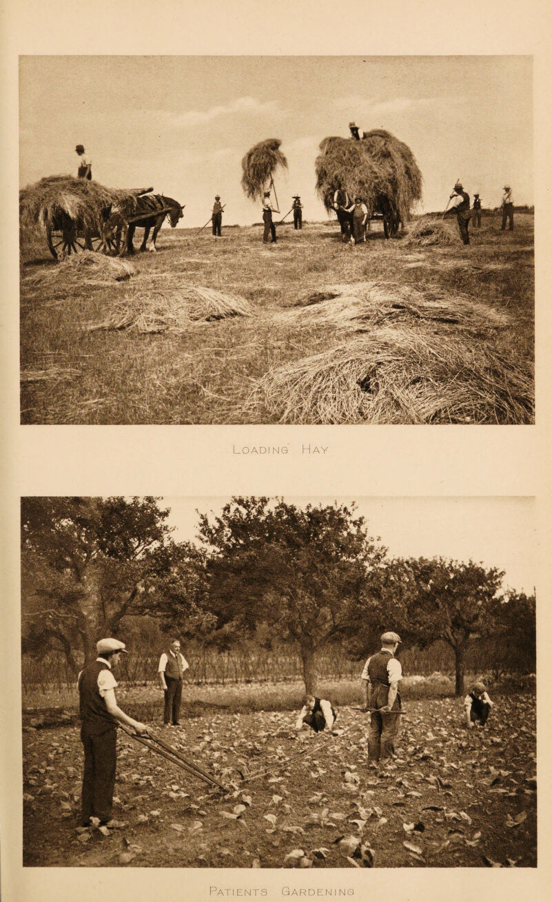 Loading Hay Patients Gardening