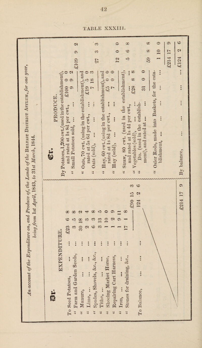 An account of the Expenditure on, and Produce of, the Lands of the Belfast District Asylum,/or one year, being from 1st April, 1843, to 81 si March, 1844. TABLE XXXIII.