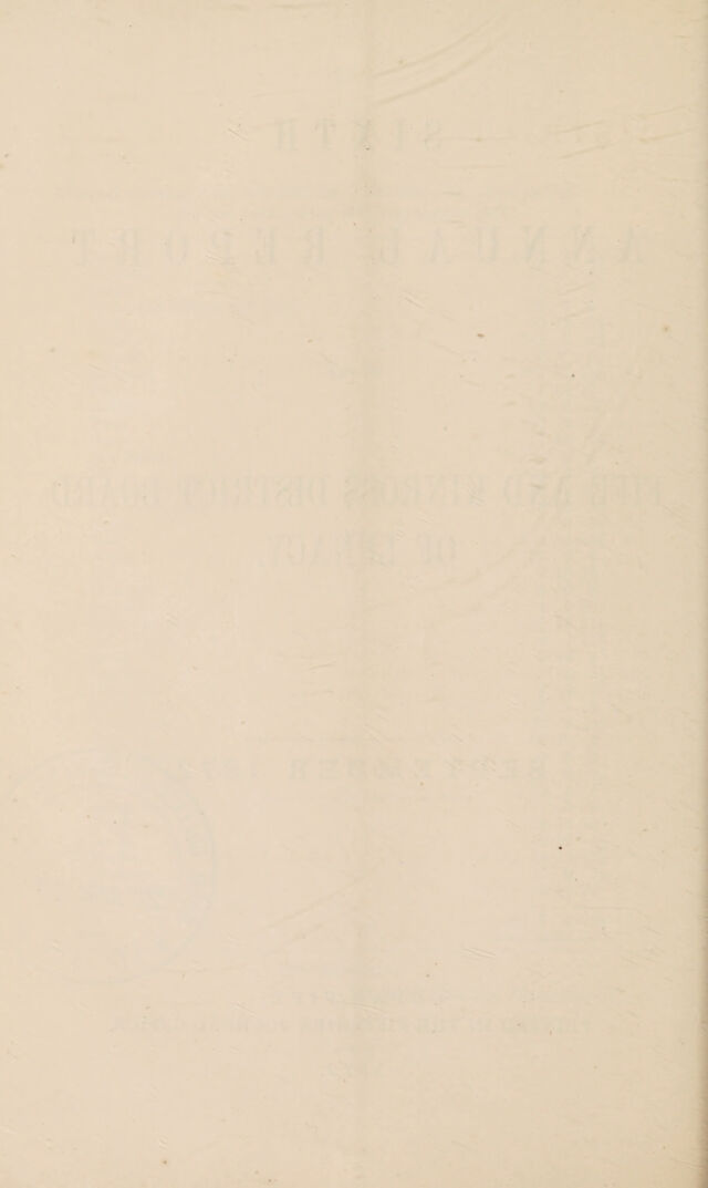 digitised image 2