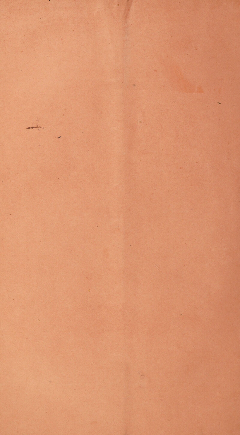 jr