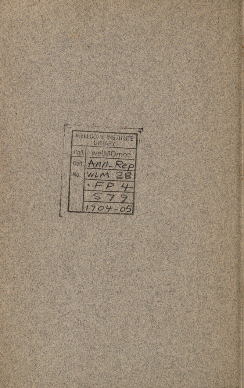 ,js-. K ;•:S' 'imms ;|yi wX0m^ Vz!mmmW. 3 M:i'V SI I# ijptl^i Sswia s?S'';|v.. IM ; •'.?S' ;/ S; ■ s •,-? :#iT i4m wmm *\mz i^sntuit -jg^ys yjls ■* ‘-_ l«li ^vtsVS 1 *3£|MR$« wlm 2 it ^'A'-'ir: ■ : A7oV “<?5j «#S ’v V. w*-. c-j’^'t' ■■>- ''. 5 ■&■-.:■ r-i ■■>: <• .!>= .:■ A:■+ ••':• .' ■iS'SS ss,; gclf» ?S!I .sa :S§,5tS|S W;*s / ' ■ ' s'* •• -vv.Vi iiMl