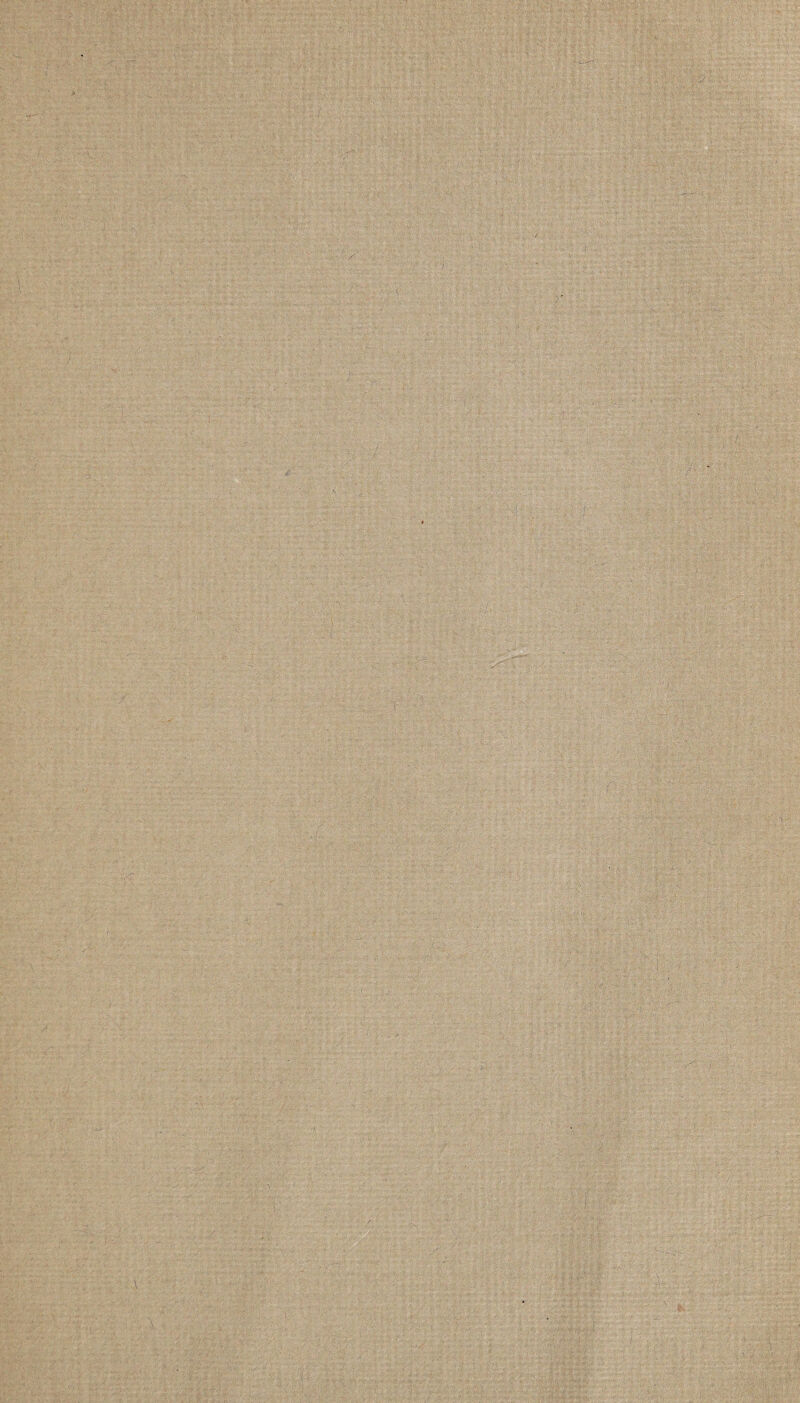 -• ■ ■ ■ V. . . 7 !. ' , : ' ; ' ' ■ • ' ■ - ■ ■ , ■ • . : 4 .• * ’ 'itr.: ' . - '■ J St*®; ■ *• • i a v-> -- • I *' . A» ; ■ ... V''. ' . ■ .. ' - . yf... < -• .. 1 ' r . ' -, v *****£* ; 5. ‘ ;• *7 *.;» €-'••■-%? ' •t K }'*).■ ■ . v' - : •: . ;>r ' •VX.‘ ' ' ■< • ft : . , • ■ ■ .1 V ' mm: