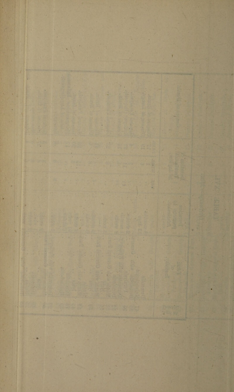 . ./ . . - I'V'*S* **■<!» MW* ■ ■ ■ t , im i ■ ■ . . . , - 1 ...., s, V • 1  - . ' ' • !-■; ■ . % ' .oil. >•