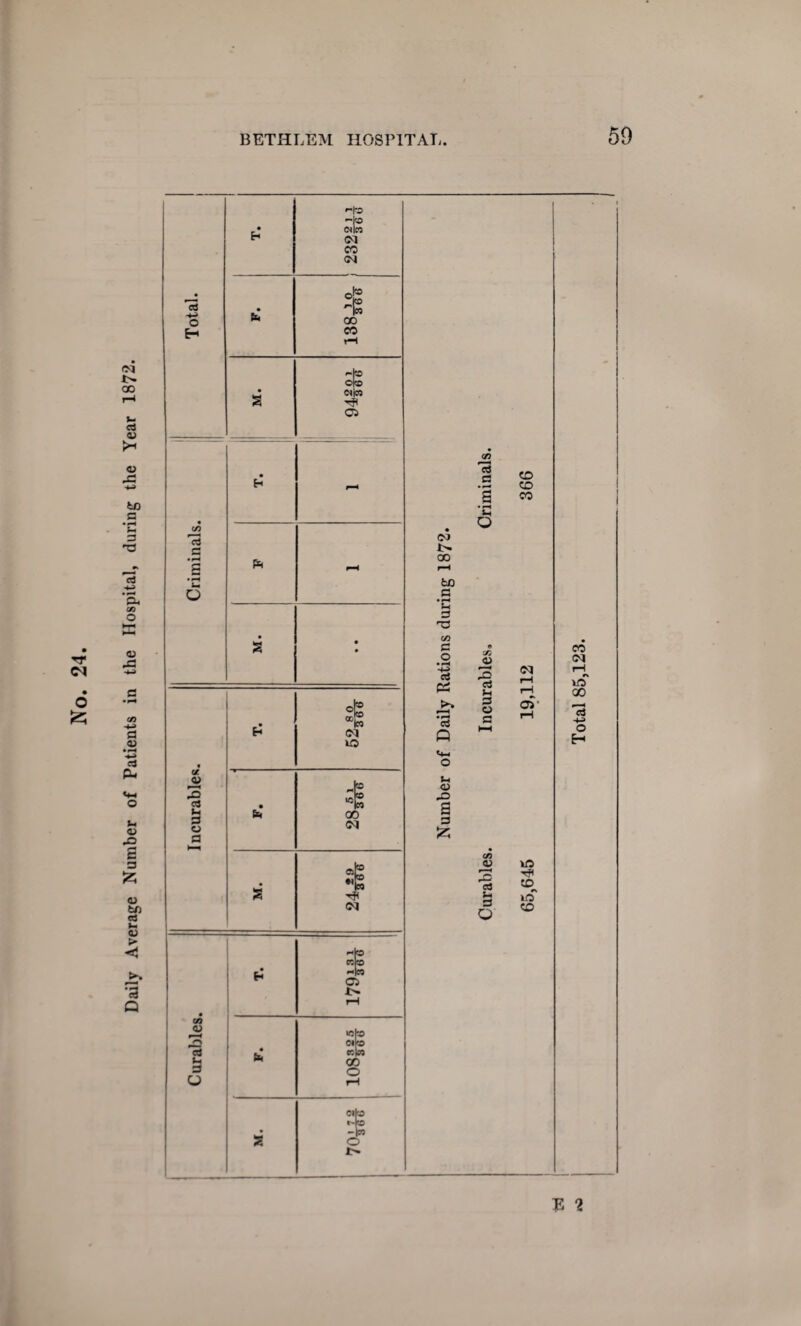 Daily Average Number of Patients in the Hospital, during the Year 1872. E 2 Total 85,123.