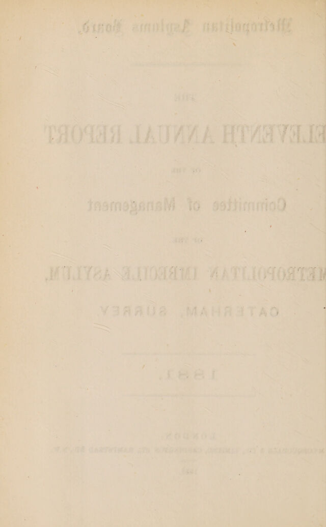 digitised image 2