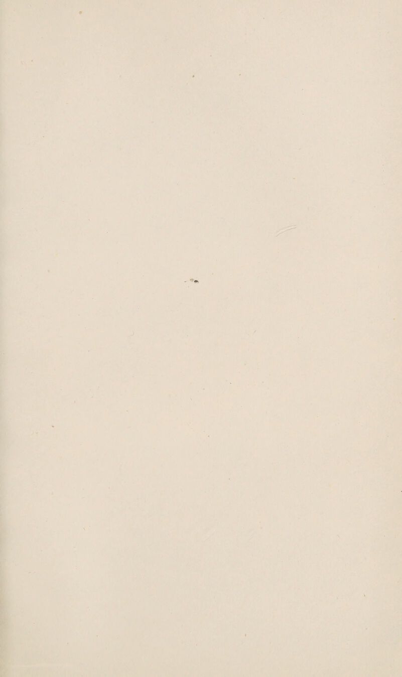 9 * - «*• \ I