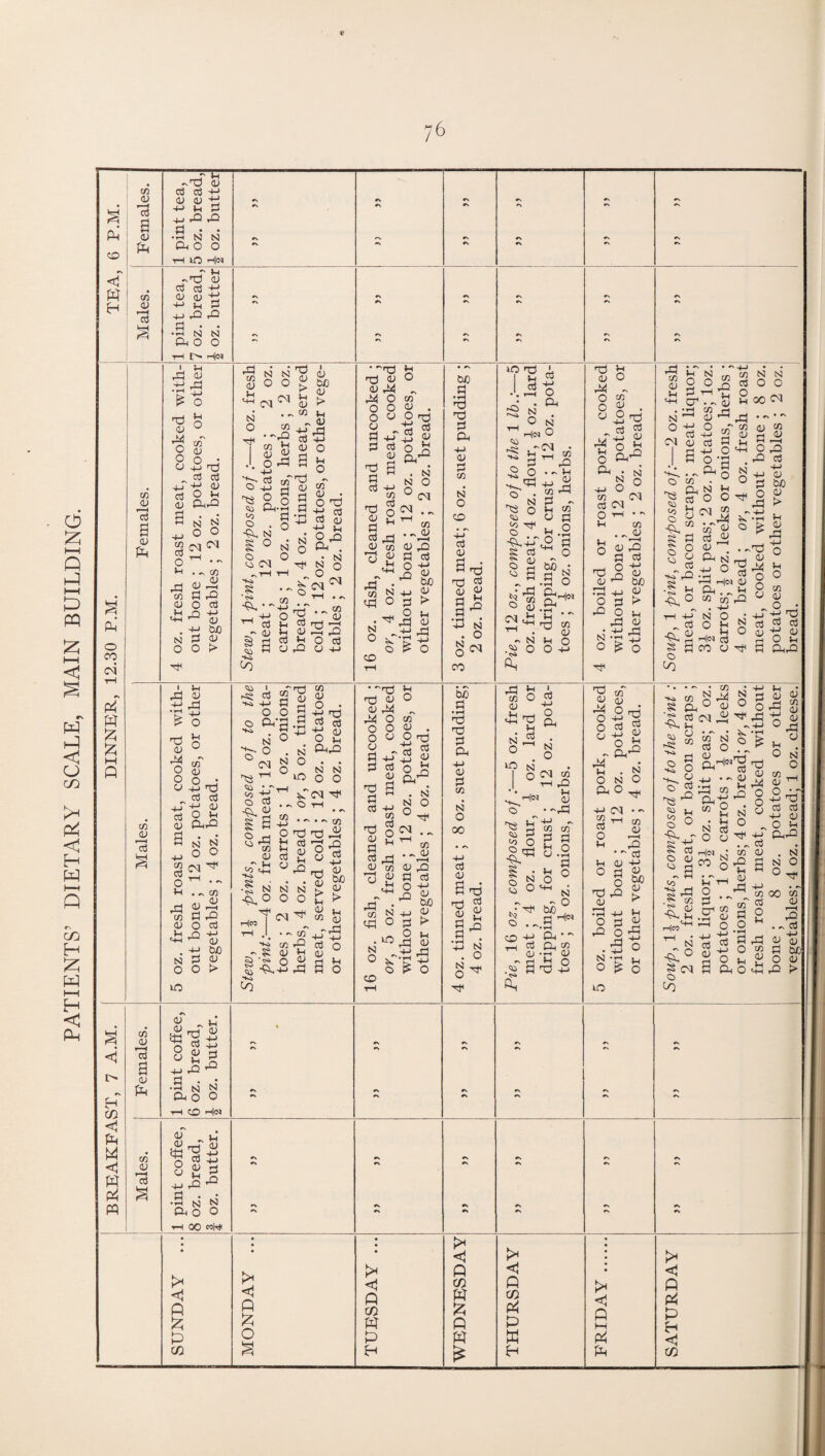 PATIENTS’ DIETARY SCALE, MAIN BUILDING. e