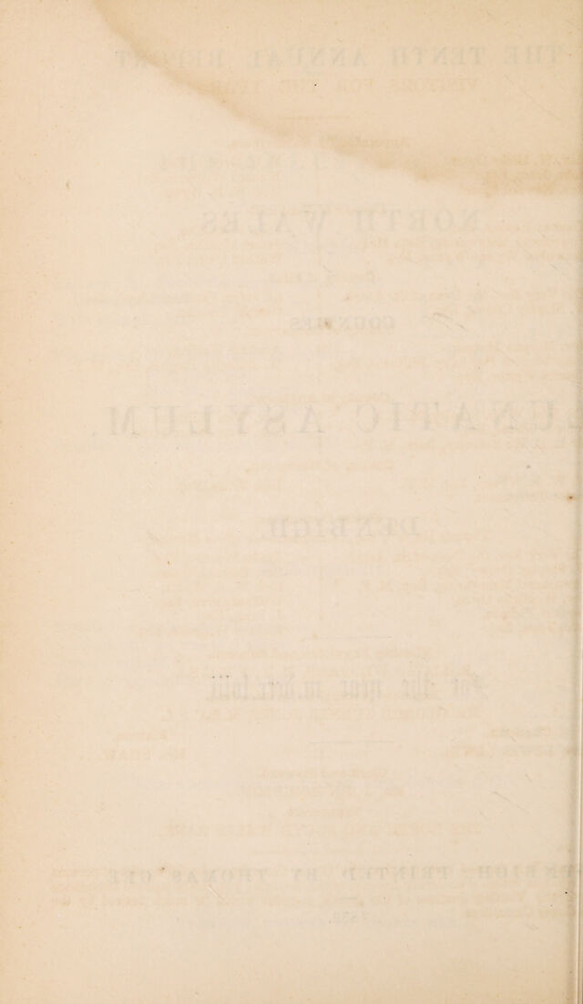 digitised image 2