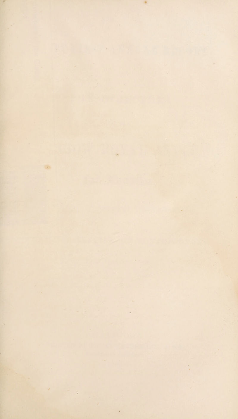 I r l.t • : 'T ' • r> «■■ ' T .y . ’.>*r‘^'--' ■*> ^;lv^TrT-^’‘r -1 ■ .u* mr. * • ■• - • vrv » \t * ’ '' o .Ij* 'r • ^ - •■ - - 115,-iC*' 1 -♦i» ■* ,■' JL'i ■■i .\ *Z ■' -- >'s-f55' -:i! -Aka '^ - .; '^ W AMJt ^r:-
