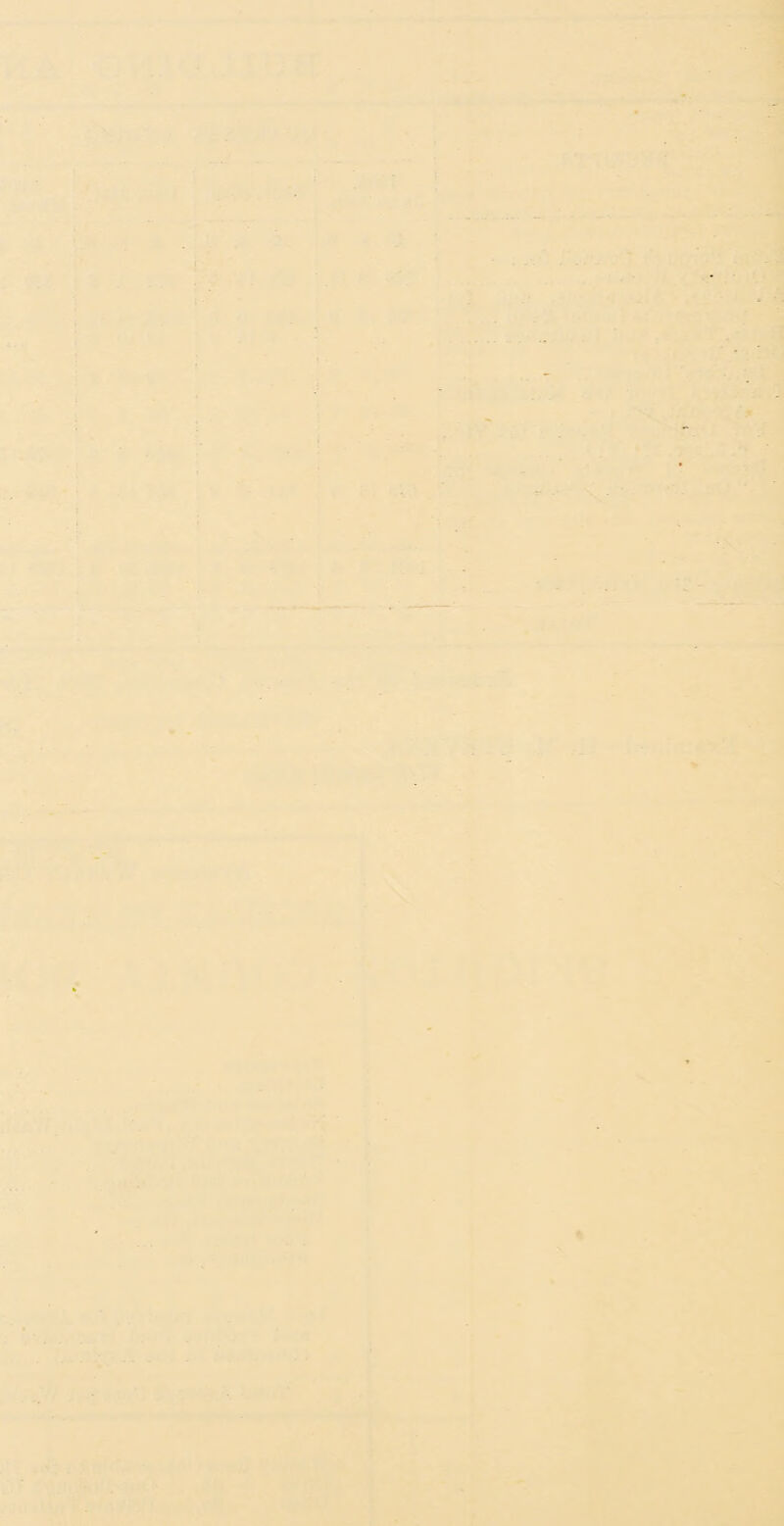 % X I i i 1: Sif 1 1 V , « ’ »1 * »* f! i > f fi-!