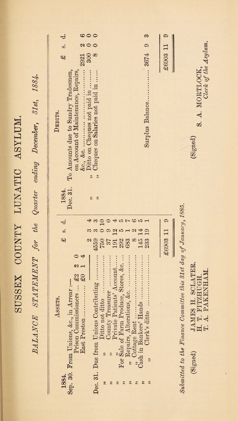 SUSSEX COUNTY LUNATIC ASYLUM. GO s Co >-H o <13 © © © * I £ s sq O H3 CD O O co 03 CO WOO 03 rH i—1 HOOO co cq o o CO CD 03 (M CO CD o •> _ 3 g : : : 3 g, : : : © ® ; • 3 co H m (3 m P Ua ® r? pJ £ 3 3 02 ^O CD 3 *3 so -*-=> 3 3 CD -M fl • F—< PH o -m 3 3 o o © 3 i-M •-• .a h3 eS •3 H -i-3 3 O 3 s-< c3 co 03 co ' 03 3 „ c1 3 03 m 3 o O O «8 ° <j 3 o 03 ^6 CO 03 3 cr1 © pS © © 3 M CO B %i f-> 3 m o -i-3 o P h S5 00 50 T3 a! p ■f COOO^iOUCDOH 1—1 COCOOOJNOrKMitOi NOJOUHlMMCOWM lO iQ M 03 3 00 hJ< CO r—1 131 CO rH Cl O r? N rH m H W gg co <1 Sh C3 <D Sh *h <1 CO %A © 3 o • rH Cfi .ra bo 3 O co «TO g o 9P -D= 3 o o CO 3 o s 00 3 p a o S-i p o CO ph © m o J CO 1H rf PP 3 PP a o Sh «m ; © 3 P -M 3 O © © <1 S- g Vi 3 0 Co . ,—i CD nn Sh c3 PP >> © -M -t-3 3 g 3 .► O Sh OP © «8 © S-c o H-H 00 © © °8 3 CO*' Ti 3 o o ft* -4-=> Ph c3 Sh 3 3 -M S P „ P PH o. P pH - OS © S-H r° « P co nr! 3 ci O H d a © © c* © a © ^5 ■p ■4H Cl o .y o Ol CO o Cl CD CO © © #» n ^ « a ^ rs ^ f> O #> *> Submitted to the Finance Committee this 31st day of January, 1885. (Signed) JAMES H. SCLATER. (Signed) H. T. EITZHUGH. S. A. M0RTL0CK, T. A. PAKENHAM. Cleric of the Asylum.