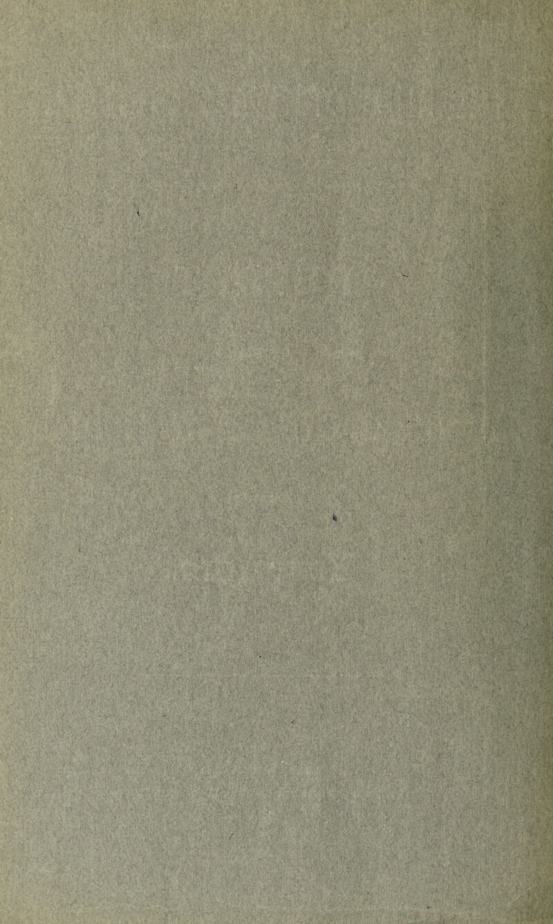 ■<* < 'iME i.jif m ifir •ft ;:4Si