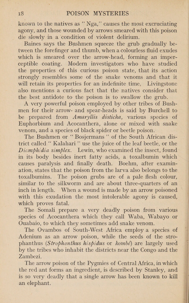 known to the natives as “ Nga,” causes the most excruciating agony, and those wounded by arrows smeared with this poison die slowly in a condition of violent delirium. Baines says the Bushmen squeeze the grub gradually be¬ tween the forefinger and thumb, when a colourless fluid exudes which is smeared over the arrow-head, forming an imper¬ ceptible coating. Modern investigators who have studied the properties of this curious poison state, that its action strongly resembles some of the snake venoms and that it will retain its properties for an indefinite time, Livingstone also mentions a curious fact that the natives consider that the best antidote to the poison is to swallow the grub. A very powerful poison employed by other tribes of Bush¬ men for their arrow- and spear-heads is said by Burchell to be prepared from Amaryllis disticha, various species of Euphorbium and Acocanthera, alone or mixed with snake venom, and a species of black spider or beetle poison. The Bushmen or “ Bosjermans ” of the South African dis¬ trict called Kalahari ” use the juice of the leaf beetle, or the Diamphidia simplex. Lewin, who examined the insect, found in its body besides inert fatty acids, a toxalbumin which causes paralysis and finally death. Boehm, after examin¬ ation, states that the poison from the larva also belongs to the toxalbumins. The poison grubs are of a pale flesh colour, similar to the silkworm and are about three-quarters of an inch in length. When a wound is made by an arrow poisoned with this exudation the most intolerable agony is caused, which proves fatal. The Somali prepare a very deadly poison from various species of Acocanthera which they call Waba, Wabayo or Ouabaio, to which they sometimes add snake venom. The Ovambos of South-West Africa employ a species of Adenium as an arrow poison, while the seeds of the stro- phanthus (Strophanthus hispidus or kombe) are largely used by the tribes who inhabit the districts near the Congo and the Zambezi. The arrow poison of the Pygmies of Central Africa, in which the red ant forms an ingredient, is described by Stanley, and is so very deadly that a single arrow has been known to kill an elephant.