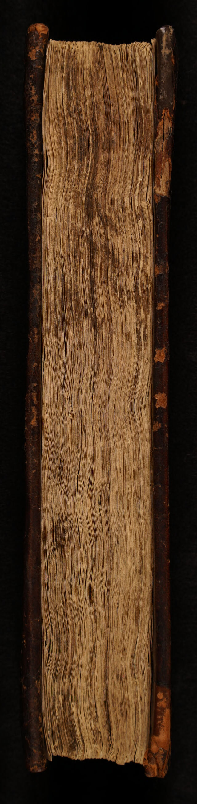 digitised image 3