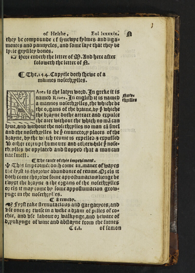 of Helthe , Eol Ixxxxi'x* 0 tbcp be rompoutibe t f fpnctopefplmes atiD nga* tnentes ano pautipcles, anb fotne tape tljat tbcp be Ipde grplllcp bones. ter l^ete ciibetb tbe lettec of ^.Inb Ijete aftet folotoetb tbe letter of C^be>t44-CapptUbotb(%efue of a maunes nofetbd’llcs. Aresfs tl)datpntoo}D.3Ingrefeeltl5 naitico Riues.jn cnglifbttis naincb a mantles noretb}plles,tb£tobtcbebe * tl)e organs of tbe b;atne,bp $ tobteb* tbe bjapne Ootbe attract anb erpulcc ^ ^ ^ ^tlje atectottl)outtl)etol)tcl)tioniacan lpue,ano toitbout tbe nolrtbjplles no man ca fmel anb tlje nofetb^Plles be j? cmuncto^p places oftlje bjapiic, bp tbe to! >tcb tcume te ejcpclitb a crptilfeb tb otljfr tcjjtipt Ijtimcurs anb cti;cttobil£pnofe» fb.piles beoppiattb atibboppeb that a man can r.atfmell. CZbt ratiff of rWf tmpcDimcnt. ^Cb’otmpeotmciooibcome tu.uiaticcoftoapcg toe fp;ft ts tbojotoc abutibante of mutie.fiDjels tt both come tbo;otoe fome appodumactoirlienge be ttoprt tbe bjaptie atbcojgaiisoftbe iiofetbjpllcs o; els tt map come bp fomeappottumacton gcoto= ptigctntbe nofetb?pl!es. c a rcmrfcr. <*? f pjft take (irtnutacions anb gargarpces;anb bfeotieso; ttotfctnatoebeaojam of pdles of to* cbte, atibbfc labour 0? toalkpnge,anb betoateof b;pukpnge oftotneanbabflapne from tbe fatties Cc.i» offamon