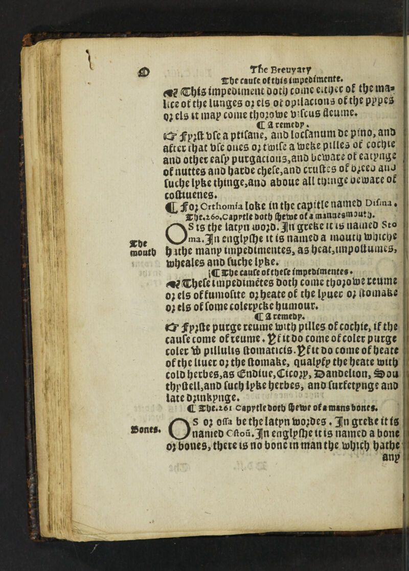 3Cbe raoutb Bones* Tfic Breuyary &lKraufcoftt)lslinpc&imcnfe. m? Cftfe impeDunenc ooti) come e*ajec of tbe ma* lice of ttjc lunges oj eis of opilaaons of tbe pppes q; els st map come tljo^otoe bifcus flcumc* CaccmcDp* jFp;ft bfca ptifane, ano locfanum be pwo, ano after rljat Dfe ones o; tonfe a toebe ptlles of cocbte ano other eafp purgacioti3,ano beware of eatpnge of nuttes ano baroe cbefe,ano crudes of o;eej au j fuebe Ipbe t^mge,atio aboue all tomge oeujare oc cofttuenes* Jfo; Crthomia lobe ttt tl|C capttle tiameo Difma ♦ <E?)M6o,caprtle &ot& tyetoe of a nunuesmamij. Os is tbe latpn a»o;o. J|u grebe u is nauieD Sto ma«j[ii englptye it is tiameo a moutb tobies fj itbe manp impeoimentes, as beat,unpoliutnes> tobeales atio luebe Ipbe, i<E Xbe cauft office impeMmeiue* ♦ mlC^efe impeoimetes Doth come tbo^oUie reume o; els offumofite oj beate of tbe Ipuec o; itomabe o; els of Come colcrpcbc bumour, C 3 cerae&p* & jFpjfte purge reume toitb pilles of cocbie> if tbe caufe come of reume ♦ it Do come of coler purge coler tfo pillulis ftomaucis.£f it oo come of beate of tbe liuer o; tbe Itomabe, qualpfp tbe beate tmtb colo betbes,as €nDUie,Cico?p, Banoelion, S>ou tbpflell,ano Curb Ipbe berbes, ano furfetpnge ano late Djinbpnge, C 2be.i6i caprtletotb of a roans bones. Os o? offa be tbe latpntoo;Des,3[n grebe it is nameo cftou,3[n englpdje it is nameo a bone 0} bones, tbete is no bone m man tbe tobub batbe anp