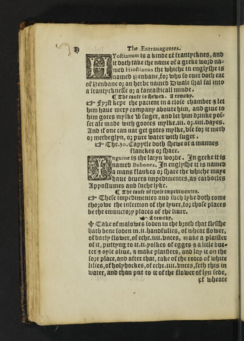 Yoftianum is a bume of frantpebnes, ano it Doth tabe tbe name of a grebe too?D na- niCD Hioftianus tf)e iD^fCl^C In CnglpQ)e IS __nameD^enbane3fo?tot)ofoeu£cDotljeat of henbane o? an betbe names 2Dtoale ifyal fal into a IrantpcbnelTe oj a fantafticall nunoe ♦ CCSWcauCctsfijetoea. aremefip* Kt* jfpjft bepe tbepacientinaclofe chamber $ let bun bane metpeompanpaboutebtm, anOgiueto bim gotes mplbe fuger, ano let bun Djm&e pofr fetalemaoe untbgootes mplbeaii* o;4iiuDapes* 2linD if one can nat get gotes mplbe,bfe foj it metb o? metbeglpn, o? puce toater tottb Cugee ♦ &3~(€b^5°*CapptleDotb fljetoeotamannes flancbes o;(bate* ^fettiguine tstbelatpn too?oe* 3fin gtelie Ctt0 ^tiamcD Bubones.* 3[n engiptbe it ts nanico a mans flanbes oj (bate tbe tobube mape baue DiuersimpeDunentes5as cathodes aippoftumes ano fucbelpbe, <E ar&ecaufe oftljefcimpeMmenfce. (ftbefe tmpcDimentes ano fuel) IpbeDotb come tbojotoe tbe infection of tbe IpueMo; tbofe places be tbe emnneto^p places of tbe Utter* atCIKCDp* Cabe of malotoes (oben in tbe bjotb that fleflbe batb bene foDen in.tLbanDfulies, of tubeat flotoer, ofbatlpflotoe^ofecbe.ttiubnces, uiabea plaittcc of it, puttpng to ttdi.polbcs of egges $ a litle but¬ ter $ ople oliue, 01 mabe piatfters, ano lap it on tbe foje place,ano after tba t, tabe of tbe rotes of tobife lilies,ofbolpbocbes,of ecbeatiubncesjetb this tn tuater, atiD than put to it of tbe flotoet of Ipnfebe, pf tobeate *