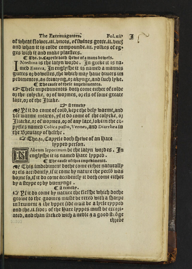 The EictrauagantesJ VoLxii* gj i S) of fofjcat flotoetMit.bnces, of ftoines grcee.ii.tmcj * atiD U)i;an it is colDe compounDeuiu polbes of eg;* ges tottb it anD make platters* C ?f«CspptIe&ot!} $ctoc of a mans botoels* Nteftma is tbe larpn toojoe ♦ 3|n gtefce it is na* meD Entera. jjn englpfbe it is nameo a mannes guttcs o; botoelles ,tbe tobtcb map Ijaue Dtuecs tin peoimentes3as fteatpng,o? afcpnge3ano Cucb Ipbe* C^b^caureoftpefe Impc&imenteo* fcl-Cbefe impeDimentes Doth come either of coiDe ojtbe colpcUe3 ojoftoojmes3o;elsoffomegceate la;ce,ojoftbe3lia&e. £3**3rcme&p ^ £f it Do come of colo3Uepe tbe belp foatme,anD bfeumtme mcares,pfitDocomeof tbecolpcfee, oj 3fliacbe3o;i of tt)ojmes3oj of anp larejobetn tbe cs* ppties nameo Colica paffio3Vermes3anD Diarrhea id tbe£?euiarpofbeltbe* Cbe^Capptie Doth flbefoe of an ijace ipppeopecfon* Abrum leporinum be tbe iafpit VUOJDCS * Jtl englpdje it is natneD iSate Ipppeo * C sciiecaufe oftpisimpe&imente* ^ Cbte imoeounent Dotbe come either natnraUp o; els acctDentlp3tf it come bp nature tbe peclo toas bojne fo3tf it Do come accioentlp tt Doth come either bp a ftrppe oj bp burnpnge ♦ CarenicD?. *3= )>f it Do come bp nature tbe fleflje fobicb Dotbe gcorne to tbe goomes muite be receo toitb a Abac pc tnfttumenc<t tbebpperfiDemuiibe aiptlerpppeo anD tbeatXioes of tbe l^are Ipppes muff be ejccoji* ateo, ano than iUcfceo umb a neoie a a gooo fttoge tijjcoc