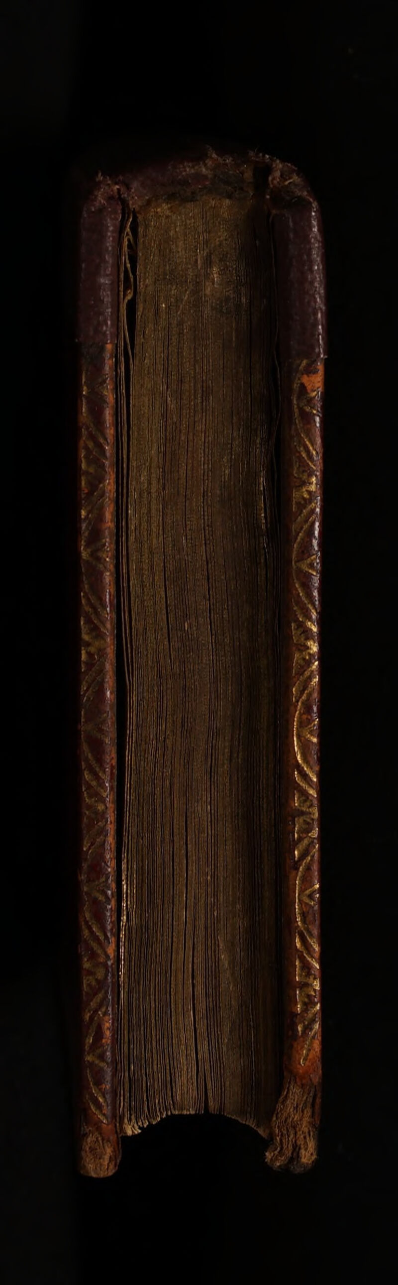 No text description is available for this image