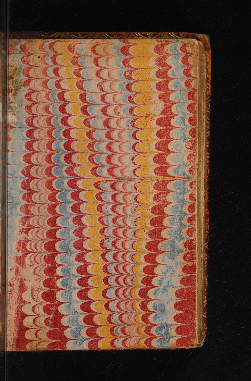 No text description is available for this image