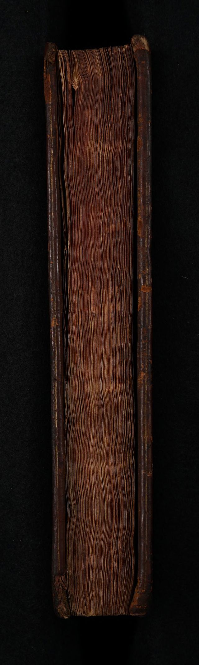 digitised image 3