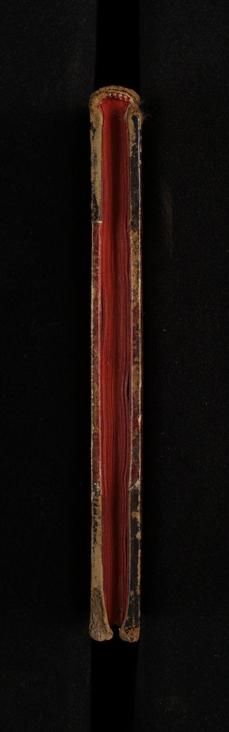 No text description is available for this image