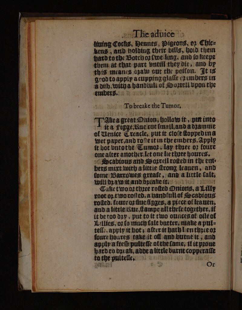 hens, and holding their bills, hold them hard to the Botch oꝛ cwe ling, and ſo keepe them at that part vntill they die, and by this meancs bzaw cur the poifon. It 18 ũ diſh, with a handtull of Sorrell vpon the To breake the Tumor. Talea great Onion, hollow it, pitt into it a igge Rue cut lmall and a dꝛamme ol Uenice C reacle, put it cloſe ſtopped ind wet paper, and rove it in the embers. Apply it hot bntothe Tumoꝛ , lap thꝛee 02 foure one alter another let one lie thꝛee houres. Scabious and Soꝛrell roged in the ents bers mixt with a littie ſtrong leauen, and fone: Barrowes grease, and a little fait, Will dꝛaw it and bꝛeake it. Take two oꝛ thꝛee roſted Onions, a Lilly root oꝛ two roſted. a hand full of Scabious rotted: foure oꝛ ſiue ſigges, a piece of lea uen. and a little Rue. ſtampe all thelſe together, it it be too dꝛy, put to it two ounces ot᷑ oile of Willies, of fo much alt butter, make a pul⸗ tefl:. apply it hot; alter it hath len thꝛie oꝛ foure houres take it of and burne it, and apply a freſh pulteſſe ol the lame, it it pꝛoue hard to break, adde a little burnt copperaſſe to the pultelle.