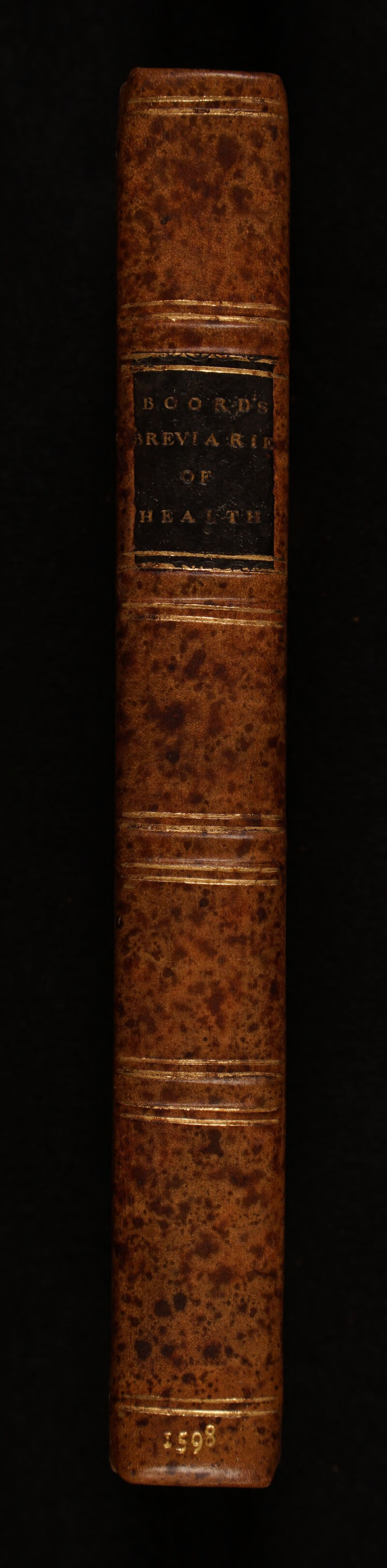 No text description is available for this image