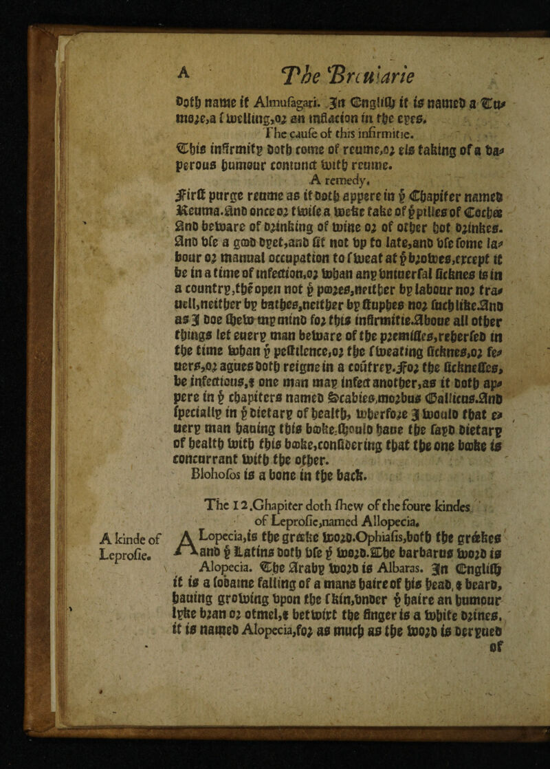 A kinde of Leprofie. A The \Bnularie both name if Almufagari. ju ©ngliflj if is names a Co# nio?e,a i ioclling,at an mSacion in the eyes. The caufe of this infirmitie. ©bis inffrmifp Sorb tome of reume.et els fairing of a ba* perous humour tontomt totth remise. A remedy. jfirif purge retime us if Doth apptretn v Cbapifer names Eeuma.ans onceo: tUttfe a toefcc fake of fpilies of Catfcas 2ns bctoare of Drinking of mine o? of other hot ojinkes. 9no bfe a gmo Bpet,anB fit not bp to lafe,anD bfe feme la? boar 02 manual occupation to f bieat at £ b;otoes,crcept if be in a time of infections; toban anp bninerfal Defence fs in a coantrp,tSeopen not p pa)tes,nntber bp labour no; tra< uell,neither bp batbes.neitber bpltupbes no? fncblifte.9uD as 3 boe Che lump mtnD fo? this in8rmitte.3boue all other things let euerp man beinare of the ptemiftes,reherfes in the time toban p peftilence.o; the Iterating ficfenes,o; fen ners,o? agues both reignein a toutrep.ifo; the Gcfeneffes, be infettious.i one man map infect another,as it both ap« pere in § chapiters names &cafcies,mo?bus <&a(ficns.3nD fpeciallp in p Bietarp of health, toberfote 3 tooulo that e» uerp man hauing this bmfee.fljouio bane the taps Sietarp of health totfb fhis bathe,canGsering that the one babe is concarrant Ibith the other. Blohofos is a bone in the bath. The 12 .Ghapiter doth fliew of the foure kindes of Leprofie,named Allopecia, :cia,is the greefee tooiD.Ophiafis.bofh the gr&fees ans § Latins Doth bfe $ toots.SDbe barbarus toots is A Lope iVansi Alopecia. ©fee 2rabp tD0?D is Albaras. 3n ©nglifi} it is a (oeatne falling of a mans haireof his heaS, * bears, hauing groining bpon the ffein.bnocr p baire an tmmpnr Ipke btano; otmel,* bettotrt the finger is a tobite Stines, it is names Alopecia,fo? as much as the toots is serpneb of