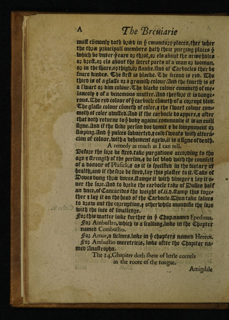 mod comonfg Doth brno in g cmunctojp places,! ber tuber tbe three principall members bath f fjcir purging places § to&ieb be tmoer geare or fbrof,or eis about ft;e arme boles o; brett,or els about f&e fecret parts of a man or looman, ot in ttje (bare,or tt»gb,oj flanke.ilnD of Carbccles tberbe foure kinoes. ^be firtt is blacke.Cbe (econo is reO. SEbe tbtrO is of a glade o;a greeniib colour.SJnn tbe fourth is of a ffuart 02 aim eolour.'Cfje blacks colour rommetb of me# lancolg 1 of a benemous matter.ano tberfore it is Dange# rous.acbe reo colour ofg carbocle cometb of a corrupt bloo. %be glade colour cometb of coler,* the ftoart colour com# metbotcoier aOutteo.9no if fbe carbocle bo appere,* after . that ootb returns to g boOg againecommonlie it is an euiU figne.ano if fbe ficke perfon Doe bomit * be (ompnouent 02 flaeping.and § pulces fubuerf cD,t cetD f (neats (nit b altera# cion of colour,(mtba bebemenf ageto.it is a 6gne of oeatb« A remedy as much as I can tell. JBefive fbe fore be fireo.fake purgations accojoiug fo the age a ttrengtb of tbe perfon,* be let blob tvifbtbe counfetl of a honour of Phificlc,* as it is fpecifieb in tbe otefarg of health,ano if (before be fireo,Iag this platter toit.Cake of 2>onesoung tbr« bnces,ttampe it toitb bineger* lag it 0# ner tbe fore.ano fo breke fbe carbocle take of SOafies half an Once,of Cancarioes tbe toeigbf of.ii.D.ttamp this toge# tber l lag it on tbebeao of tbe Carbocle.SLljen fake falues to orato onf tbe corruption,* ottjcrto&tle munoitte tbe Core toitb tbe iuce of fmalleoge. ifor this matter take further in f> Cbapnamco Epedinua. ifor Ambuftro,tobicb is a haloing,lake in tbe Chapter 4 named Combuftio. $0} Amor.a Crimes,take in § chapters nameo Hereos. iFoj Ambuftio meretricis, toke after tbe Chapiter na# ttteO Snattropba. The i^Ghapiterdoth fhew oflrttlc cornels in the roote of the tongue. Amigdale