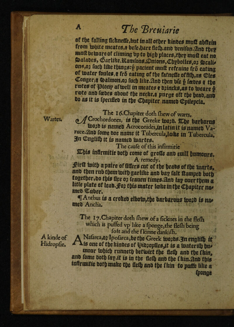 War tes. of t&e falling Gcftnefle.baf in all otfjer feinftec mull abffefn from tobite meates,® befe,barefleil}.anD benifon.anD tbe? mod betoare of diming bp to bifib places,! bcp mud oaf no ©alaoes, ©arliSc,lSamfohs,^)nionB,Cbgbolle«,oj ©call# onB,o^ fucb lifce t&mgstp patient mud refraine fro eating of mater foule*,* frfi eating of tbe fafnede offiflj.as C-leo Congerj® ©almon>o; fucb Iibe.SnD t&en bfe § faces f tbe rmtes of $ionp aftoell in meates 1Djincb8,as to toeare # rmte ano faces about tbe netfte,® purge off tbe beao.ano The I ^.Chapiter doth fliew of warts, <lA Crochordoncs, is t&e Greeke foo^d. jBCfte bar&araa tooa® is named Acrocomdes,fo latin it is named Va- mce.and fome doe name it Tubercula,lo)6e in Tubercula, Bln C*ngiif& it is named luartea. The caufe of this infirmifie SC&te foBrmitfe dotb come of groffe and etttil tmmonra. A remedy. ifirff toft b a pafre of (fffera cot of t&e deads of fde tnarfa, and t&en rub t&emUHt&garlifte and bap fait damped botft togefder,do f&*0 (fee o^ feanett times.^no lap otter idem s ufie plate of lead.jfr# tbio mater Icoftetnt&eC&aptter na* med uuber. ^|Anthus is a crofted el&ofo,t&e barbarotta toojd is na* tned Ancha. WL . . , : . - ' u ; . ■ - ' , - ; . • - The i7.Chapiterdoth fhew ofa ficknes in the P.cfh which is pulled vp like a lponge,the flefh being foit and the fkinne dankiih. A kinde of A Nafarca,Oi Ipofarca.be tbe Greek iuojftB.Jn englif& it Hidropfie. one of tbe feinces of ^iompBefljit is a toaferiO) bu» monr tobieb runnetb bet&iirt tbe OeQ ano tbe fbin, ano fome Doth fap.it is in tbe fieft ano tbe ftun.3no tbfB inrtrmifie oofbmake tbe flei& ano tbe (bin to pufife like a fponge