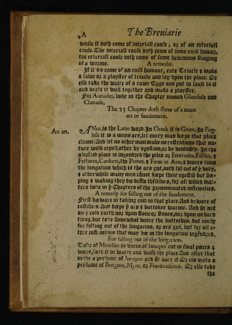 ,a TheEreuiarie tohile if Doth come of inferiall caufe, 02 of an erferiafl caufe. 2Cbe tntertall caufc Doth come of fome ruili £00102, foo cFteriaU caafe cotjj come of Tome bcnemous flinging Of a too^me. A remedic. if if os come of an emit bumour, eate ^riacle 9 make a fslue 02 a plainer of friade ano lag Upon the place. £>2 life take tbe minte of a raise dDgge ano put in fault to it , ant) beats tr toeil together anb make a plapffer, Antiades, lake m the Chapter nameo Glandule ano Cherade* The 2 5 Chapter doth (hew of a mans 1 ars or fundement. • *>  4-* rt^NusgS the Latin tBO^D.Jn Greek if is Grans,Jn Eng¬ lish it 10 a mans ars,let eoerg man k&pe that place cleane.ano let no other man make no rettrimons that na* ture isolD erpell,other bp egcflion>02 bp benfofitp. jn the afotfafe place is mgenojeo the piles 01 Emerodes,Mles, f Feltures,Cankers,the Poxes,$ Ficus in Ano,f Diners tuns the longation toineb ts the ars gut,ooth fat out of g bobg, 9 othcrtohilc mang men canot ketpe their egeftio buf flee* pmg 9 making ftjeg tuo Defile ttMlms, foz all fobicb mau ters l©ne in £ Chapters of the p?enominateD infirmities. A remedy for failing out of the fundement. - ifirfi betUiare or faking colD in that place.^no betoarc of cofiifncs.3no kape g ars 9 buttokes tsarmc. £Uu> fit net on p colo earthmo; bpon floneo; £00*0,002 Upon no barn thing,tot fane fomeluhat bnoer the bntfockes, but ondp fo’ falling out of rbe longaaon. 02 ars gut, but fo2 all c* ther inSunutcs that mag bee in tbe longation ingfotyeD. For falling out of the lohgacion. Ca^tc of Mirnlies in prices,of luneper cat m final paces 4 tmces/aefb tt m Uiatcr ano tnafi) the place.£S«o after that mike a permnie of Tureper ant fir ouer if.$£>2 tis make a perfume of Benguin, M^re, 02 Frankcnfence. £D2 glfe take tbs