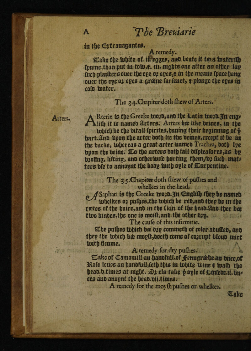 in t&o Crtrauaganfes. A remedy. SHake the fohtfe of. if. egges, ant) bcafe ft ta a foafedffj fpume,than put in tobp,f. tit. nights one after an other lap fach platfters Oner the ege o; eges,f in the tneane (pace hang oner the ege oj eges a greene far fend, f ptonge the eges in tolo toatcr. The 34.Chapiter doth ihewof Arters. , « ■ ' . : • ' * J* * 1 ’ • ' * , ' ^ y~ }( , '' ; Arters. A Rterie *&e Greelce toojb,anb the liatin tooiD-jn eng* /\utb it is names Arters. Arters bee like betnes, in the tohich he the bitall fpirites,hatting their beginning of g hart. Anb bpon the arter both tie the bcines.crcept it he in the bacUe, tubereas a great arter nanteo Trachea, both Ire bpon tbebeine. SLo the arters both fall oifpteafures,as bp bjoting, lifting, anb othertmfe hurting them,fo; foth mat* t ers bfe to annognt the boog tmth ogle of turpentine. v, \ / , r ' ' • ,* .L: : ' * . _■ ; ' O - ; * i t: _!•; ■ ' V^'ji The 3 5.Chapiter doth fhewofpuflies and whclkes in the head. p /f Saphati is the Greeke tooro.jn <£ngli£b fheg be nameb {~/I tobetkes oj pnQjes.tbc tnbtch be reb,anb thep be in the rotes of the haire,ano in the (bin of the heao.Ano ther bee tlvo hinbes,the one is moiff,anb the other b;g. The caufc of this infirmitie. SChe pnfhes tobich b® ojp commeth of toler atmlfeb, anb thtg the tohith ha mogMoetb come of eojrupt blonb mirt bptthfltume. A remedy for dry puihes. Sake of Camomill an hanbfalhof jfenngrake an bnce,of Kofe lenes an banbfuU,feth this in tobite tuine $ toaiij the heao.b.times at night. aD? els take £ ogle of iUnfebe.tt.bn* ces anb anognt the heab.bii.times. A remedy for the moyfl: puihes or whelkes. ' Cake & I