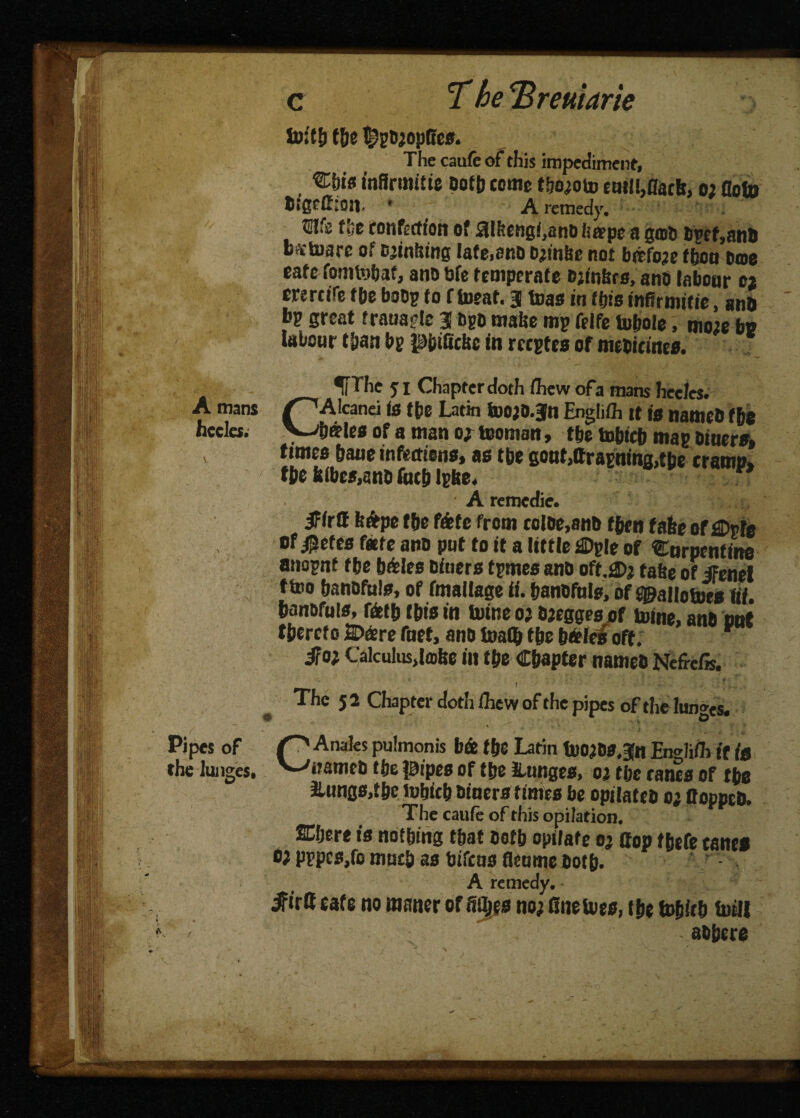 A mans faccles. Pipes of the lunges. T be <Breuiarie toitb f&e i£)pB;opRes. The caufe of this impediment, ®bis inUrmitie pof& tome t&o;oto tuil!,narb, o; Roto OigeCron. * A remedy, fSIfs fbe confection of 3t&etigf,anD heepe a gab Bpcf,nnO bstoarc of tombing late,ano o^mfec not bctfoje ffjoa Doe cafe fonifeibaf, ano bfe temperate ojinftrs, ano labour ez ererctre fbe boop to ftoeaf. 3 teas in fijis mfirntitie, ano bp great trauacte 3 bpo matte mp felfe tobole, mote bp labour t&an bp pbifiebe in reeptes of meoicines. ^[The 51 Chapter doth ihew ofa mans hecles. CAIcanei is fbe Latin foojO.Jn English it is nameO b^leo of a man 0; teoman, tbe tobieb map Diners, ftmea bane infection*, as tbe gont,ttrapntag>tbe cramp, fbe kibes,ano rucb Ip&e. ff A remeefie. ifirtf fefepe tbe fate from ccloe,ano fbtn fake of flDpte of $efes fate ano put to it a little flDple of turpentine anopnf fbe bfeles oiuets tpmes ano off,2>; false of ifenel ffeo banofuls, of fmallage ti. banofuls, of^allotoes Hi. banofuls, ffetb fbis in Uitne 02 Ojeggea of mine, ano out thereto 2>fere fuet, ano foa(& tbe boles off. i?o; Calculus,lobe in fbe Chapter nameo Nefrciis. 1% v , * » ' , \ •f' - ' . . G A miles pulmonis bfe fbe Latin InojBSJn Englifh if fa nameo tbe pipes of tbe lunges, 02 tbe ranes of tbe lungs,tbe ltibicb oiners times be opilateo o; floppeo. The caufe of this opilation. ffi&ere is nothing that ootb opilafe 0; Cop fbefe cane* *>} pppes,ro mutb as bifeus Reume Ootb. $irS cafe no tnaner of fiOjes no; Gnetoes, fbe fobitb lutll aobere