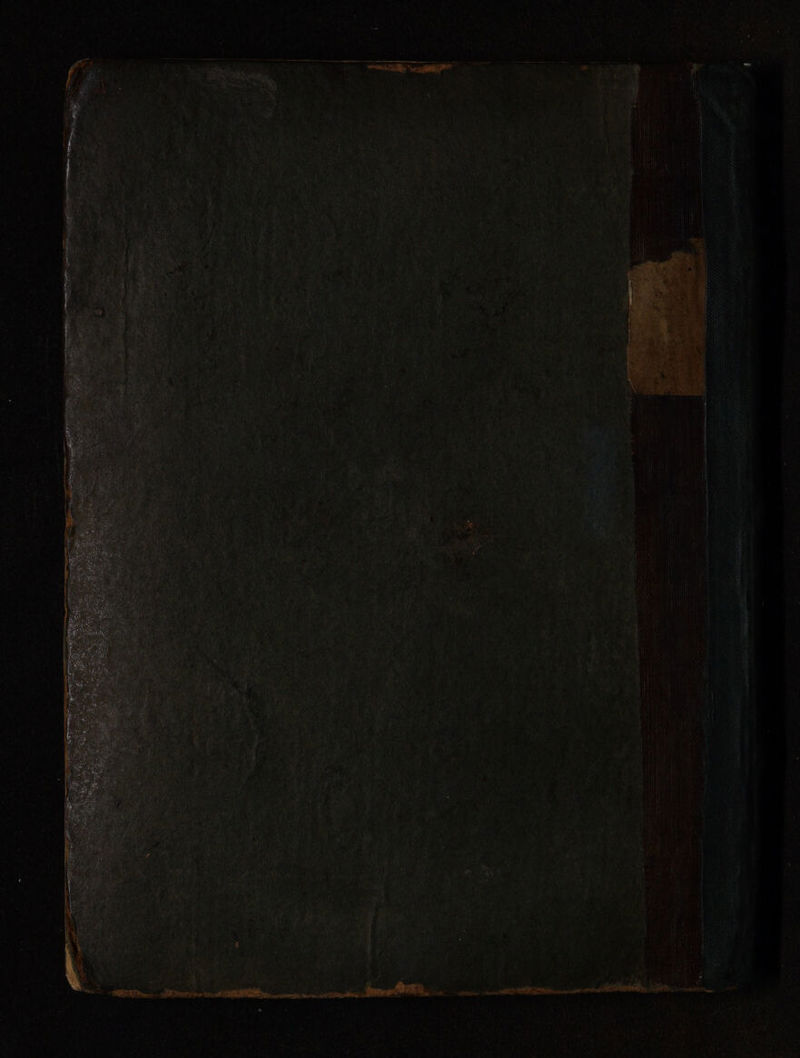 No text description is available for this image