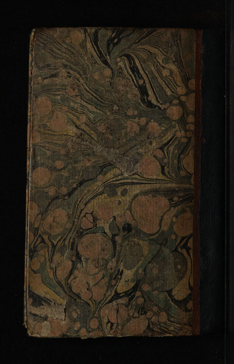 No text description is available for this image