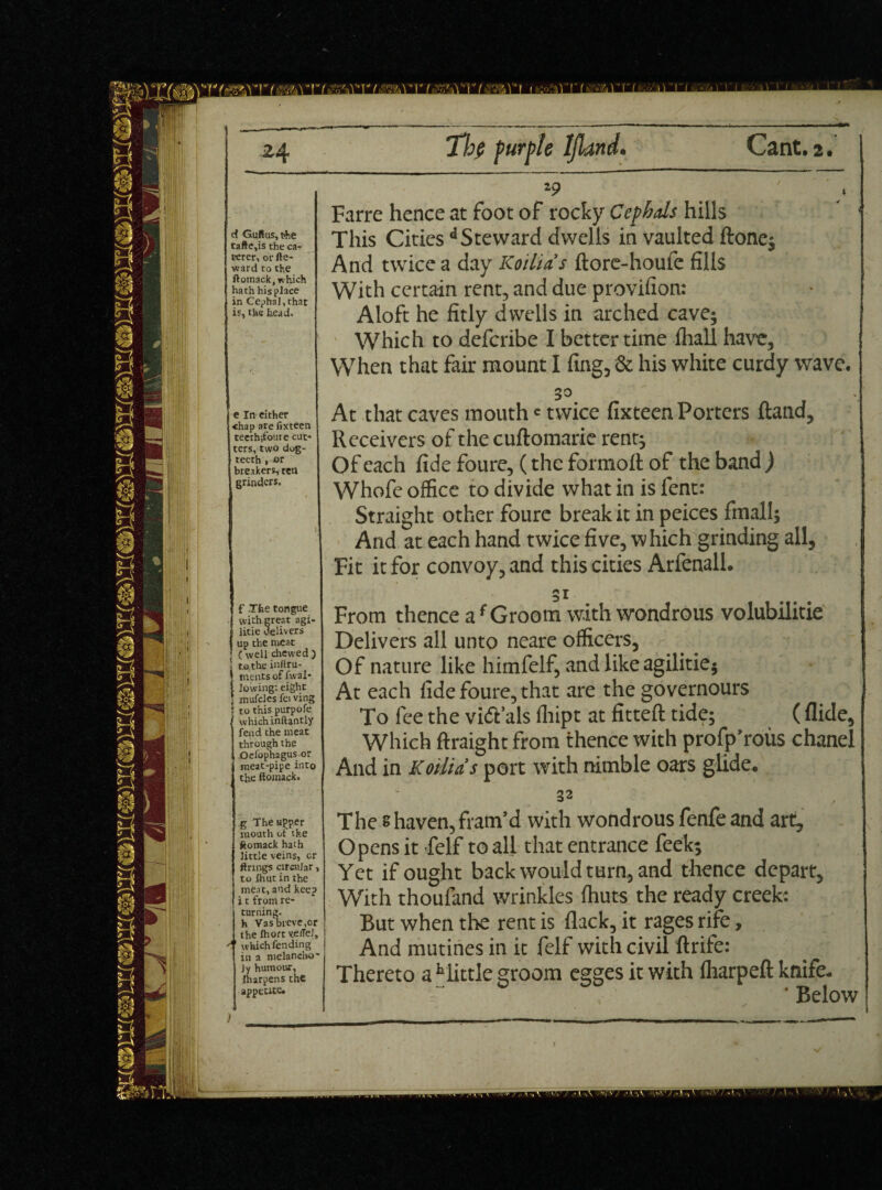 .2-<4 d Guftus,t>he tafte,is the ca¬ terer, or fte- ward to the ftomack, which hath his place in Cephal, that is, the head. Thf purple IJland• Cant, 2. 19 ' Farre hence at foot of rocky Cephds hills This Cities dSteward dwells in vaulted ftone; And twice a day Koilias ftore-houfe fills With certain rent, and due provifion: Aloft he fitly dwells in arched cave; Which to deferibe I better time fhall have. When that fair mount I fing, & his white curdy wave. < e In either <hap are fixteen teeth;foure cut¬ ters, two dog¬ teeth , or breakers, tea grinders. 30 At that caves mouthc twice fixteen Porters ftand. Receivers of the cuftomarie rent; Of each fide foure, (the formoft of the band ) Whofe office to divide what in is fent: Straight other foure break it in peices fmall; And at each hand twice five, which grinding all. Fit it for convoy, and this cities Arfenall, f .The tongue with great agi- litie delivers up the meat ] ( well chewed ) to, the inftru- ments of fwal- lowing: eight jnufcJes fei ving to this purpofe which inftantly fend the meat through the Oefophagus or meat-pipe into the Itomack. 31 From thence af Groom with wondrous volubilitie Delivers all unto neare officers, < Of nature like himfelf, and like agilitie; At each fide foure, that are the governours To fee the vi&’als fliipt at fitted: tide; ( Aide, Which ftraight from thence with profp’rous chanel And in Koilias port with nimble oars glide. g The upper mouth of tke ftomack hath little veins, cr A 1 firings circular, to Ihut in the meat, and keep i t from re¬ turning, h Vas breve,or the fhort veffel, which fending in a melancho' Jy humour, Jharpens the appetite. ) 32 The shaven,fram’d with wondrous fenfeand art. Opens it felf to all that entrance feek; Yet if ought back would turn, and thence depart. With thoufand wrinkles fhuts the ready creek: But when the rent is flack, it rages rife, And mutines in it felf with civil ftrife: Thereto a hlittle groom egges it with fharpeft knife. • Below