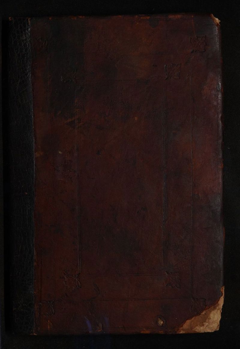 oath demain cateell ae alien at 2 og < i eg “i Pye gy J - scien hoy ie Bix he is - ae eT a, IIS IS Be Fo secee te See Sa