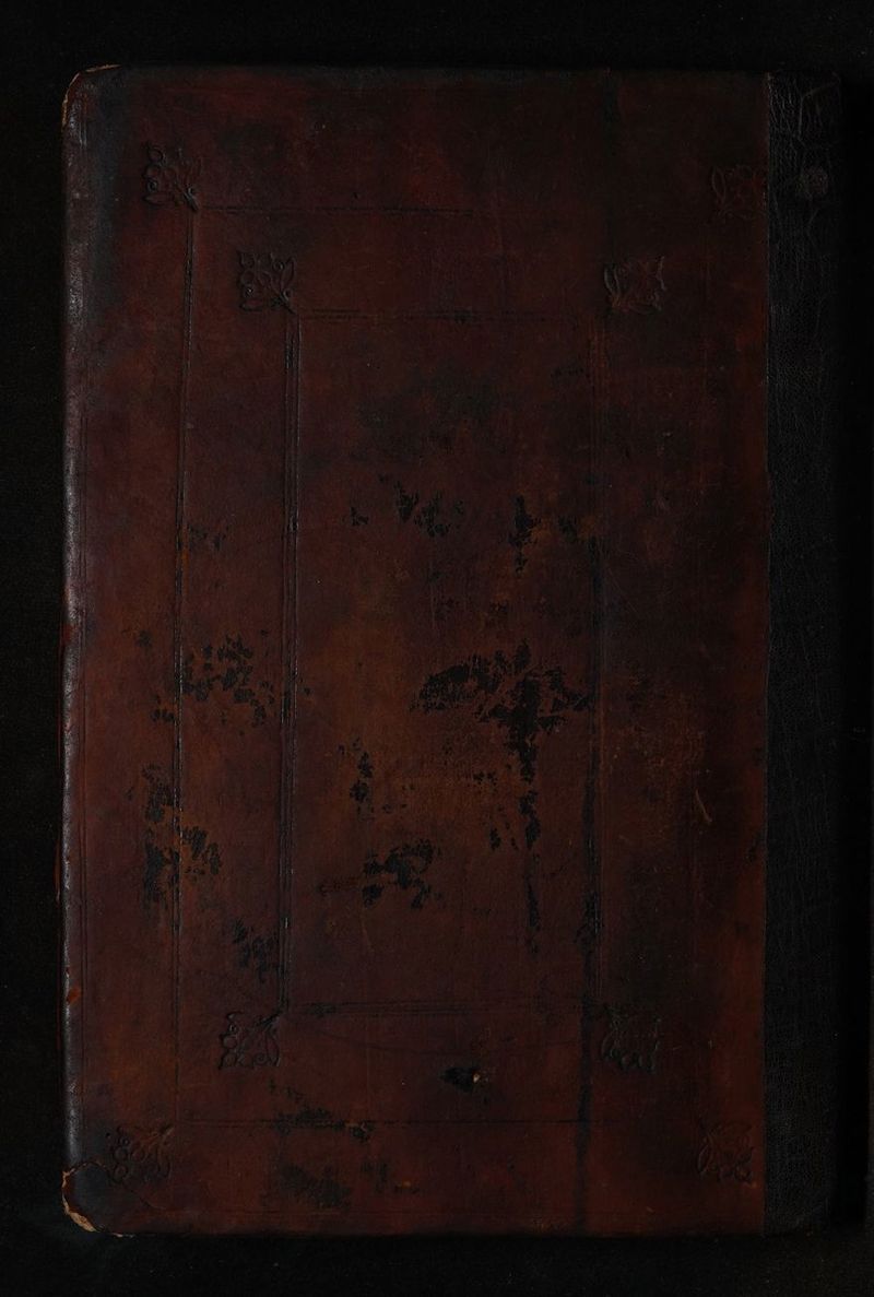 é43 v) * ewe aeelelrecomihdle tnetiemearaiacniriiieeaatne