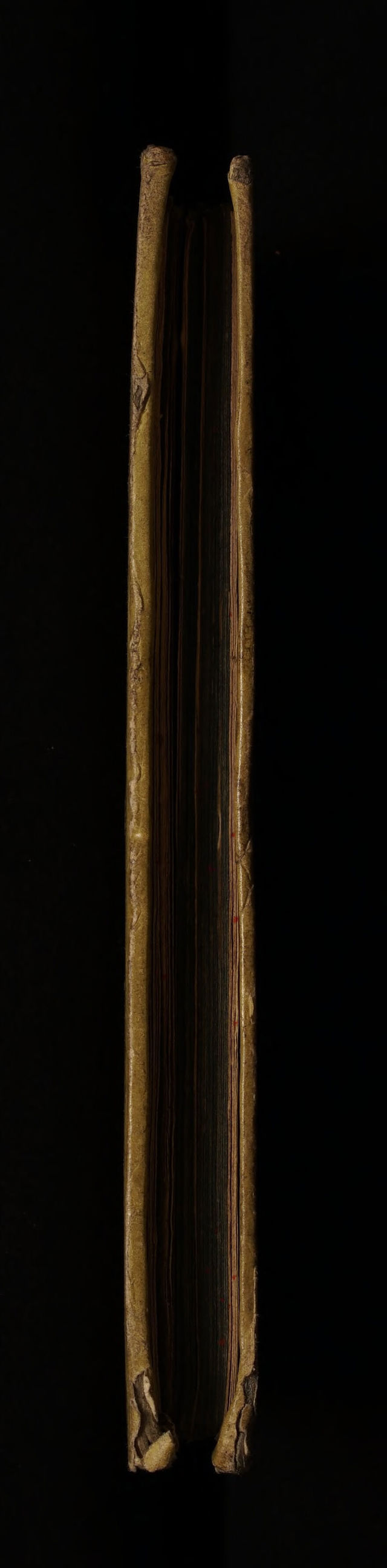digitised image 3