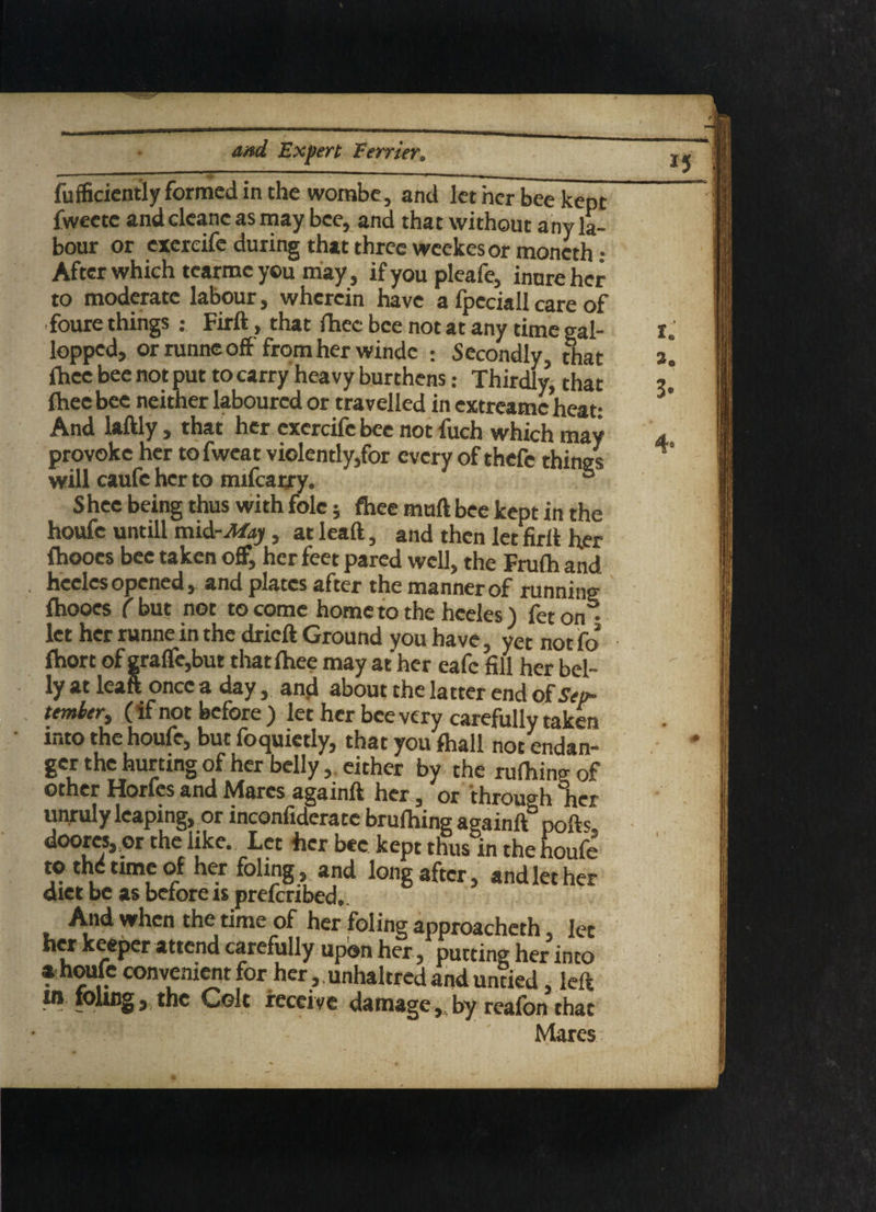 fufficiently formed in the worabe, and let her bee kept fweece andcleancasmay bee, and that without any la¬ bour or exereife during that three weekesor moneth • After which tearmc you may, ifyoupleafe, inure her to moderate labour, wherein have a fpcciall care of foure things : Firft, that fhec bee not at any time gal- lopped, or runne off from her windc : Secondly, that fhec bee not put to carry heavy burthens: Thirdly, that fhec bee neither laboured or travelled in extreamcheat: And laftly, that her exereife bee not fuch which may provoke her tofweat violently,for every of thefe things will caufe her to mifearry. , S Shee being thus with foie; fhee muff bee kept in the houfe untill mid-^y, at leaft, and then let firlt her fhooes bee taken off, her feet pared well, the Fruih and heeles opened, and plates after the manner of running fhooes ( but not to come home to the heeles) fet on^- let her runne in the drieft Ground you have, yet not Co fhort of graffe,but that fhee may at her cafe fill her bel¬ ly at leaft once a day, and about the latter end of Sep¬ tember, ( if not before ) let her bee very carefully taken into the houfe, but foquietly, that you fhall not endan¬ ger the hurting of her belly, either by the rulhing of other Horfes and Mares againft her , or through her unruly leaping, or inconfideratc brulhing againft pofts doorcs,,or the like. Let her bee kept thus in the houfe to the time of her foling, and long after, and let her diet be as before is preferibed,. And when the time of her foling approacheth let her keeper attend carefully upon her, putting her into a houle convenient for her, unhaltred and untied, left in foling, the Colt receive damage, by reafon that Mares