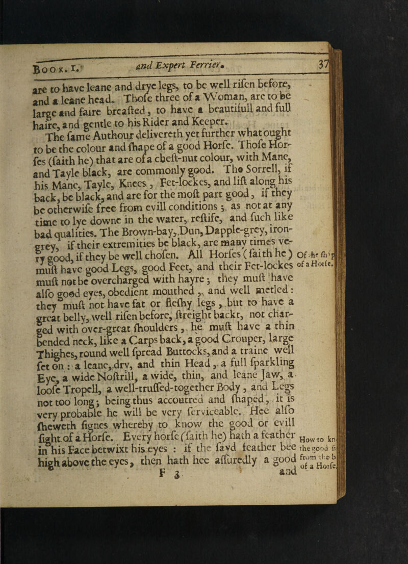 arc to have leane and dryc legs, to be well rifen before, - and a leane head. Thofe three of a Woman are to_be large and faire breafted, to have a beautiful! and full haire, and gentle to his Rider and Keeper. The fame Authour delivered yet further what ought to be the colour fcnd fhstpc of «i good Horfc, Thofe Hor* fes (faith he) that are of a cbeft-nut colour, with Mane, and Tayle black, arc commonly good. The Sorrell, if his Mane,. Tayle, Knees , Fet-loekes, and lift along his back, be black, and are for the moft part good, it they be otherwife free from cvill conditions, as not at any time to lye downc in the water, reftife, and fuch like bad qualities. The Brown-bay„Dun, Dapple-grey, iron- grey if their extremities be black, are many times ve¬ ry good, if they be well chofen. All Horfes (faith he) ofhefir. muft have good Legs, good Feet, and their Fet-lockcs ofaHorie.j muft not be overcharged with hayre ; they muft ;have alfo good eyes, obedient mouthed ,, and well mctlcd: they muft not have fat or flefhy legs, but to have a great belly, well rifen before, ftreight backt, not char¬ ged with over-great fhouldershe. muft have a thin bended neck, like a Carps back, a good Grouper, large Thighcs, round well fpread Buttocks, and a trame well fet on: a leane, dry, and thin Head , a full fparkling Eye, a wide Noftrill, a wide, thin, and leane Jaw, a- loofe Tropcll, a well-truffed-together Body, and Legs not too long; being thus accoutred and fliaped, it is very probable he will be very ferviceable. Hee alio (heweth fignes whereby to know the good or evill fightof aHorfe. Every horfeffaith he) hath a feather Howto kn in his Face betwixt his eyes : if the favd feather bee the good fi high above the eyes, then hath hee affurcdly