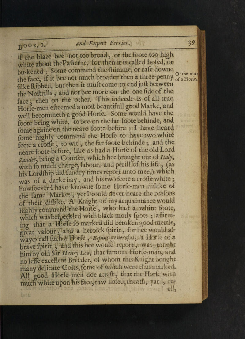 jjOOK.-’IVV _ if the blaze bee not too broad , or the foote too high white about thePafterne, lor then it is called holed, or buskened : Some commend the lhimme, or rafe downe ^ the face, if it bee not much broader then a three-penny of jHo[fe. filkeRibben, but then it muftcome to end juft between theNoftrills , and not bee more ©n the one fide of the face, then on the other. This indeede is of all true Horle-men efteemed a moft beautifull good Marke, and well becommeth a good Horfe. Some would have the foote being white, to bee on the far foote behinde, and fome acaine on the neare foote before : I have heard fome highly commend the Horfe to have two white feete a croffe , to wit, the far foote behinde s and the neare foote before, like as had a Horfe of the old Lord Smdes, being a Courfer, which hee brought out of Italy, with fo much charge, labour, and perill of his life, (as his Lordlhip did fundry times report unto mee,) which was of a darke bay, and his two feete a croffe white ; howfoever-I have knowne fome Horle-men diflike ot the fame Markes , yeti could never heare thereafons of their diflike. A Knight of my acquaintance would hi >hly commend the Horfe , who had a white foote, which wasbefpeckled with black motly fpots • affirm¬ ing that a Hbffefo marked did betoken good mettle, great valour, and a heroick fpirit, for hee would al- waves call fuciv a Horfe , Eqstus generofm, a Hone of a brave fpirit ; 4nd this hee would reporti, wyas taught him by old Sir Henry Lea, that famous Morie-man, and no le'ffe excellent Breeder, of whom this Knight bought many delicate Colts, fome of winch were thus marked. All good Horfe men doe acted, that the Horfo witn much white upon his face, raw nbfed, ih.ath, var , tur ... .. .... ~ .  it’